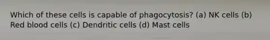 Which of these cells is capable of phagocytosis? (a) NK cells (b) Red blood cells (c) Dendritic cells (d) Mast cells