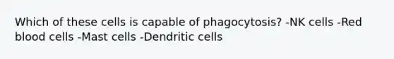 Which of these cells is capable of phagocytosis? -NK cells -Red blood cells -Mast cells -Dendritic cells