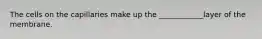 The cells on the capillaries make up the ____________layer of the membrane.
