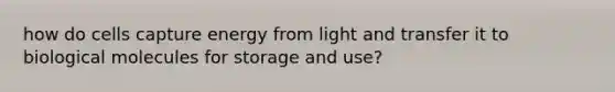 how do cells capture energy from light and transfer it to biological molecules for storage and use?