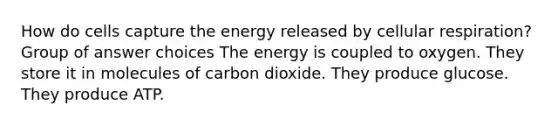 How do cells capture the energy released by cellular respiration? Group of answer choices The energy is coupled to oxygen. They store it in molecules of carbon dioxide. They produce glucose. They produce ATP.