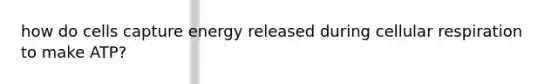 how do cells capture energy released during cellular respiration to make ATP?