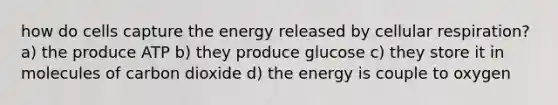 how do cells capture the energy released by cellular respiration? a) the produce ATP b) they produce glucose c) they store it in molecules of carbon dioxide d) the energy is couple to oxygen