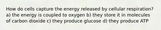 How do cells capture the energy released by cellular respiration? a) the energy is coupled to oxygen b) they store it in molecules of carbon dioxide c) they produce glucose d) they produce ATP