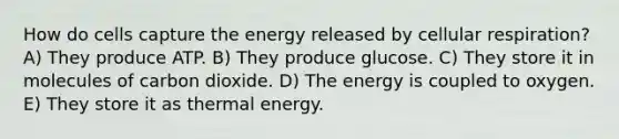 How do cells capture the energy released by cellular respiration? A) They produce ATP. B) They produce glucose. C) They store it in molecules of carbon dioxide. D) The energy is coupled to oxygen. E) They store it as thermal energy.