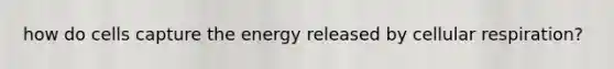 how do cells capture the energy released by cellular respiration?