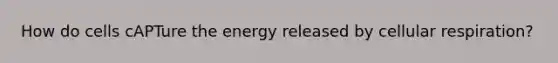 How do cells cAPTure the energy released by <a href='https://www.questionai.com/knowledge/k1IqNYBAJw-cellular-respiration' class='anchor-knowledge'>cellular respiration</a>?