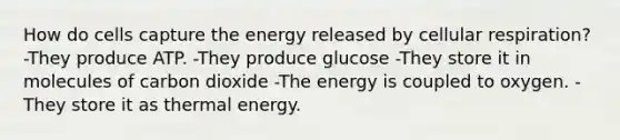 How do cells capture the energy released by cellular respiration? -They produce ATP. -They produce glucose -They store it in molecules of carbon dioxide -The energy is coupled to oxygen. -They store it as thermal energy.