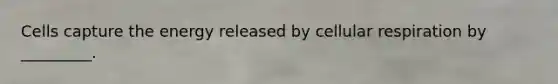 Cells capture the energy released by cellular respiration by _________.