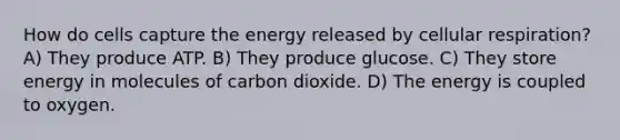 How do cells capture the energy released by <a href='https://www.questionai.com/knowledge/k1IqNYBAJw-cellular-respiration' class='anchor-knowledge'>cellular respiration</a>? A) They produce ATP. B) They produce glucose. C) They store energy in molecules of carbon dioxide. D) The energy is coupled to oxygen.