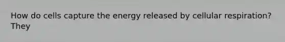 How do cells capture the energy released by cellular respiration? They