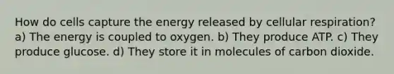 How do cells capture the energy released by cellular respiration? a) The energy is coupled to oxygen. b) They produce ATP. c) They produce glucose. d) They store it in molecules of carbon dioxide.