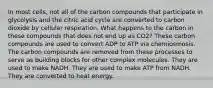 In most cells, not all of the carbon compounds that participate in glycolysis and the citric acid cycle are converted to carbon dioxide by cellular respiration. What happens to the carbon in these compounds that does not end up as CO2? These carbon compounds are used to convert ADP to ATP via chemiosmosis. The carbon compounds are removed from these processes to serve as building blocks for other complex molecules. They are used to make NADH. They are used to make ATP from NADH. They are converted to heat energy.