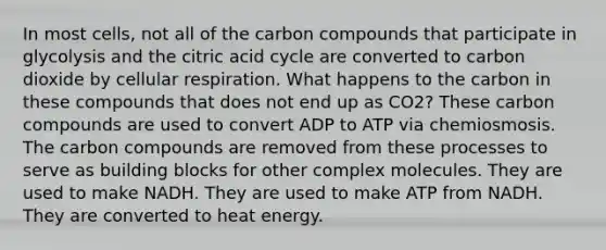 In most cells, not all of the carbon compounds that participate in glycolysis and the citric acid cycle are converted to carbon dioxide by <a href='https://www.questionai.com/knowledge/k1IqNYBAJw-cellular-respiration' class='anchor-knowledge'>cellular respiration</a>. What happens to the carbon in these compounds that does not end up as CO2? These carbon compounds are used to convert ADP to ATP via chemiosmosis. The carbon compounds are removed from these processes to serve as building blocks for other complex molecules. They are used to make NADH. They are used to make ATP from NADH. They are converted to heat energy.