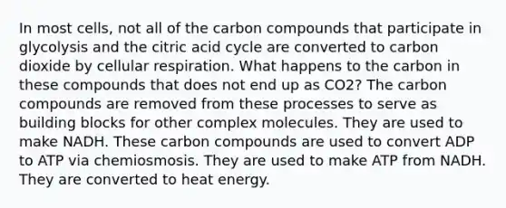 In most cells, not all of the carbon compounds that participate in glycolysis and the citric acid cycle are converted to carbon dioxide by cellular respiration. What happens to the carbon in these compounds that does not end up as CO2? The carbon compounds are removed from these processes to serve as building blocks for other complex molecules. They are used to make NADH. These carbon compounds are used to convert ADP to ATP via chemiosmosis. They are used to make ATP from NADH. They are converted to heat energy.