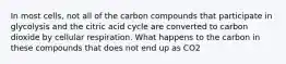 In most cells, not all of the carbon compounds that participate in glycolysis and the citric acid cycle are converted to carbon dioxide by cellular respiration. What happens to the carbon in these compounds that does not end up as CO2