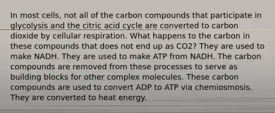 In most cells, not all of the carbon compounds that participate in glycolysis and the citric acid cycle are converted to carbon dioxide by cellular respiration. What happens to the carbon in these compounds that does not end up as CO2? They are used to make NADH. They are used to make ATP from NADH. The carbon compounds are removed from these processes to serve as building blocks for other complex molecules. These carbon compounds are used to convert ADP to ATP via chemiosmosis. They are converted to heat energy.