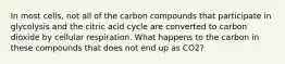 In most cells, not all of the carbon compounds that participate in glycolysis and the citric acid cycle are converted to carbon dioxide by cellular respiration. What happens to the carbon in these compounds that does not end up as CO2?