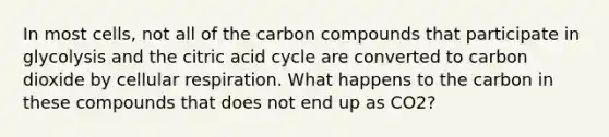 In most cells, not all of the carbon compounds that participate in glycolysis and the citric acid cycle are converted to carbon dioxide by <a href='https://www.questionai.com/knowledge/k1IqNYBAJw-cellular-respiration' class='anchor-knowledge'>cellular respiration</a>. What happens to the carbon in these compounds that does not end up as CO2?