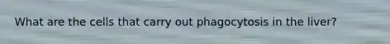 What are the cells that carry out phagocytosis in the liver?