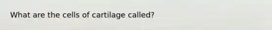 What are the cells of cartilage called?