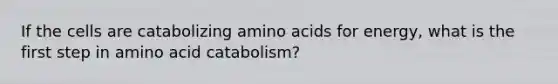 If the cells are catabolizing amino acids for energy, what is the first step in amino acid catabolism?