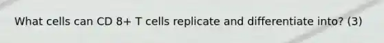 What cells can CD 8+ T cells replicate and differentiate into? (3)
