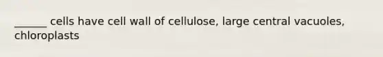 ______ cells have cell wall of cellulose, large central vacuoles, chloroplasts