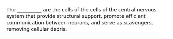 The __________ are the cells of the cells of the central nervous system that provide structural support, promote efficient communication between neurons, and serve as scavengers, removing cellular debris.