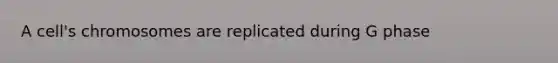 A cell's chromosomes are replicated during G phase