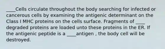 ____Cells circulate throughout the body searching for infected or cancerous cells by examining the antigenic determinant on the Class I MHC proteins on the cells surface. Fragments of ____ degraded proteins are loaded unto these proteins in the ER. If the antigenic peptide is a ____antigen , the body cell will be destroyed.