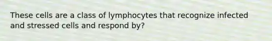 These cells are a class of lymphocytes that recognize infected and stressed cells and respond by?