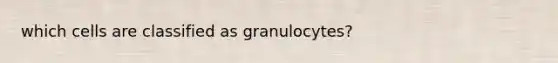 which cells are classified as granulocytes?