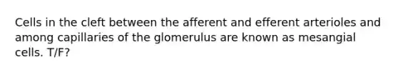 Cells in the cleft between the afferent and efferent arterioles and among capillaries of the glomerulus are known as mesangial cells. T/F?