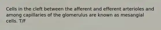 Cells in the cleft between the afferent and efferent arterioles and among capillaries of the glomerulus are known as mesangial cells. T/F