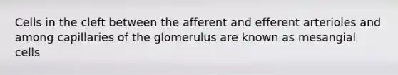 Cells in the cleft between the afferent and efferent arterioles and among capillaries of the glomerulus are known as mesangial cells