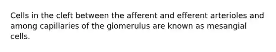 Cells in the cleft between the afferent and efferent arterioles and among capillaries of the glomerulus are known as mesangial cells.