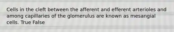 Cells in the cleft between the afferent and efferent arterioles and among capillaries of the glomerulus are known as mesangial cells. True False