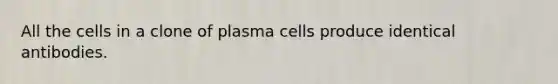 All the cells in a clone of plasma cells produce identical antibodies.