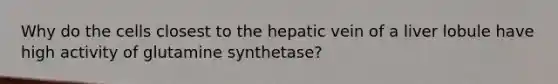 Why do the cells closest to the hepatic vein of a liver lobule have high activity of glutamine synthetase?