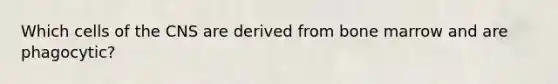 Which cells of the CNS are derived from bone marrow and are phagocytic?