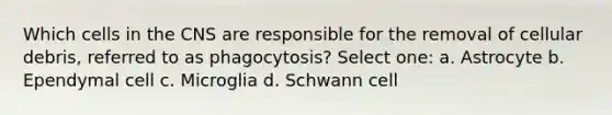 Which cells in the CNS are responsible for the removal of cellular debris, referred to as phagocytosis? Select one: a. Astrocyte b. Ependymal cell c. Microglia d. Schwann cell