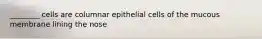 ________ cells are columnar epithelial cells of the mucous membrane lining the nose