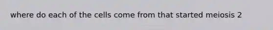 where do each of the cells come from that started meiosis 2