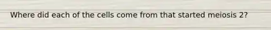 Where did each of the cells come from that started meiosis 2?