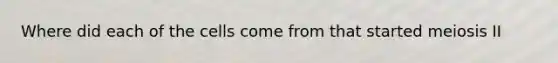 Where did each of the cells come from that started meiosis II