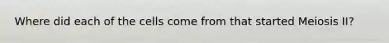 Where did each of the cells come from that started Meiosis II?
