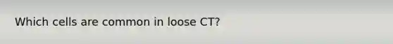 Which cells are common in loose CT?