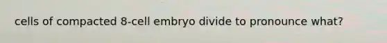 cells of compacted 8-cell embryo divide to pronounce what?