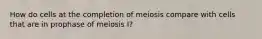 How do cells at the completion of meiosis compare with cells that are in prophase of meiosis I?